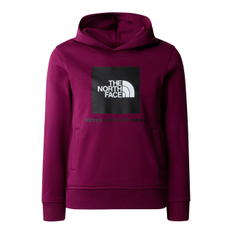 Детско горнище TEENS BOX P/O HOODIE BOYSENBERRY