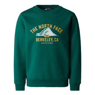 Детско горнище TEEN VARSITY GRAPHIC RELAXED CREW EVERGREEN