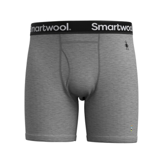 Мъжко термо бельо Merino Boxer Brief LIGHT GRAY HEATHER