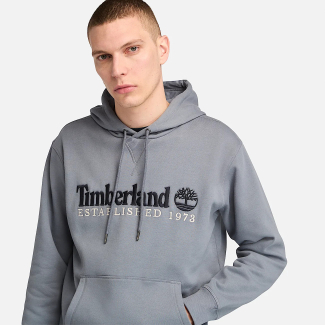 Мъжко горнище Established 1973 Hoodie for Men in Grey